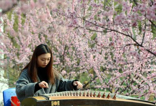 “春景惹人醉 只因弥花香”绿博园问花节将于3月31日开幕（图）