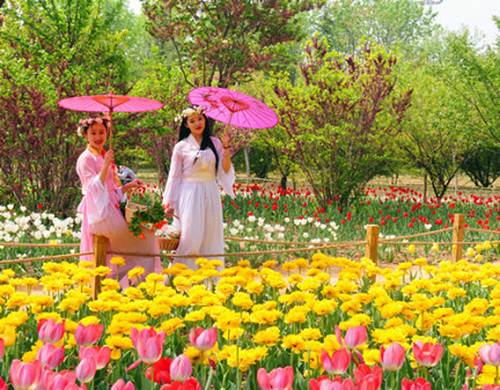 “春景惹人醉 只因弥花香”绿博园问花节将于3月31日开幕（图）