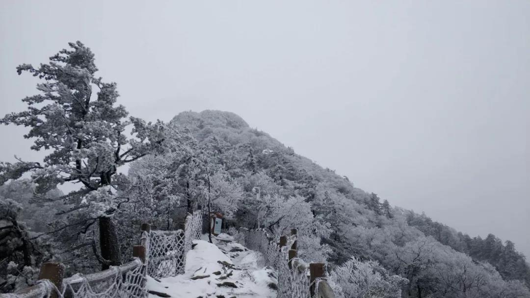 一言不合就下雪，白云山的春天不一样！