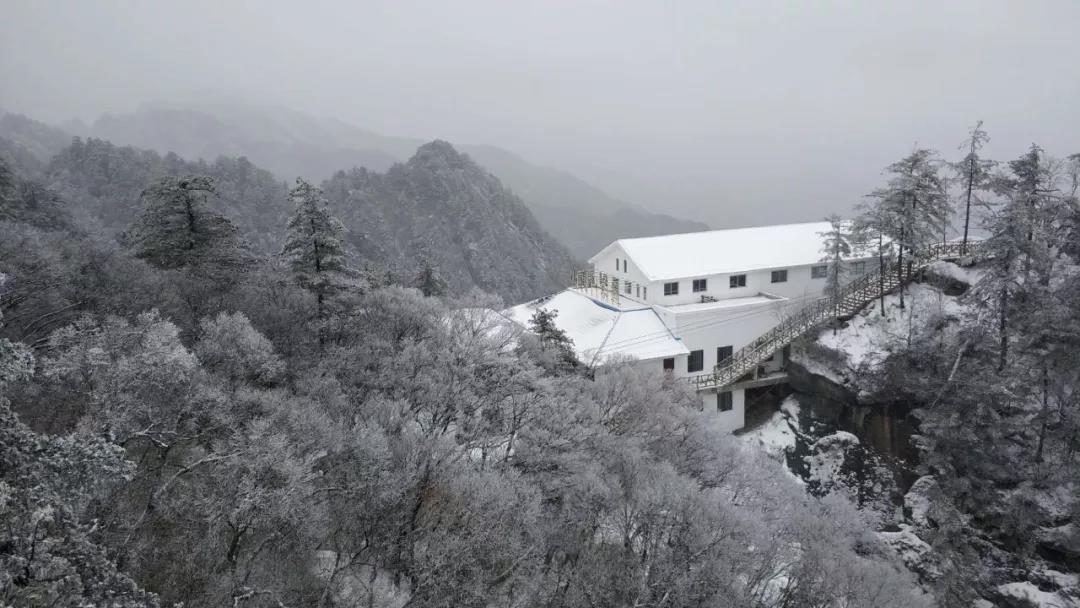 一言不合就下雪，白云山的春天不一样！