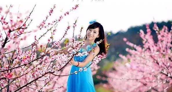春天的鄢陵,激醒万千花海! 春天的鄢陵,激醒万千花海!