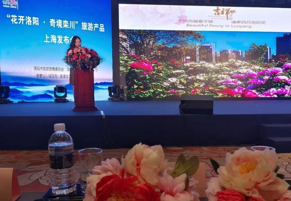 新时代 新高度 新视觉 ——洛阳四大景区长三角旅游推介圆满结束