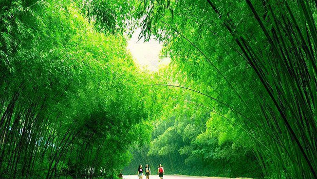 新时代 新高度 新视觉 ——洛阳四大景区长三角旅游推介圆满结束
