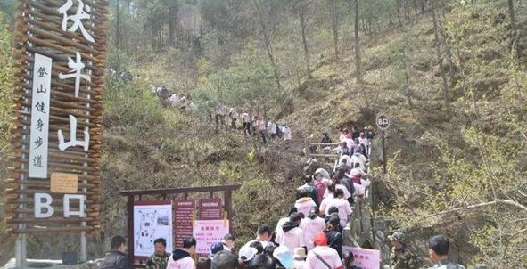 小长假完美收官！栾川迎今年首个旅游高峰