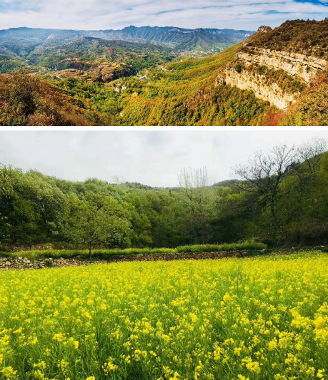 【拍手定情 寻梦真爱】第十届浮戏山文化旅游节盛大开幕！