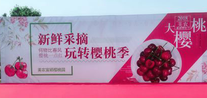 何物比春风一点红 富硒樱桃红了等你来摘
