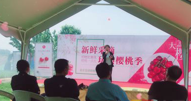 何物比春风一点红 富硒樱桃红了等你来摘