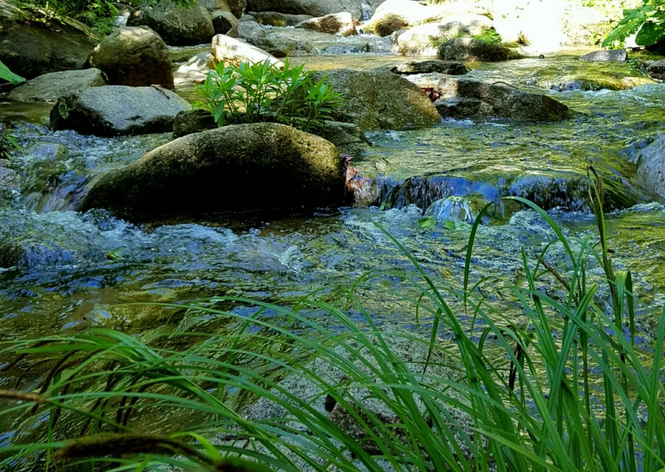 五月白云山春浅夏深 五月白云山春浅夏深