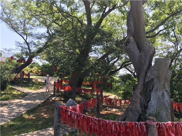 用抖音记录美景 全国百家媒体青龙峡采风活动圆满落幕
