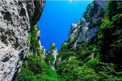 端午出行游嵩山，父爱如山“粽”是情