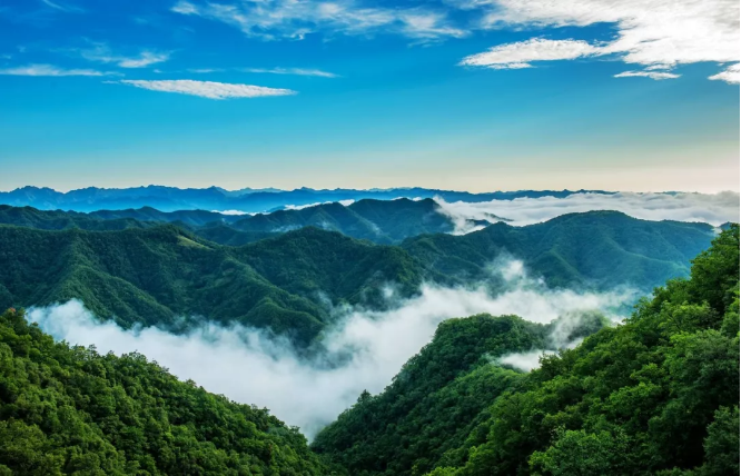 音乐啤酒节|夏日狂欢的正确打开方式