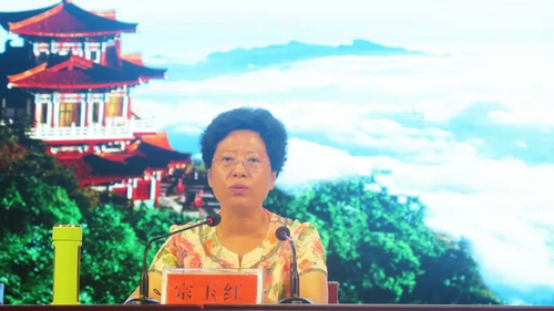 自驾游嵩县 高速全免费 嵩县召开高速公路免费活动动员大会