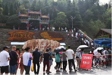 鸡冠洞:高速免费期间让人感动的瞬间！