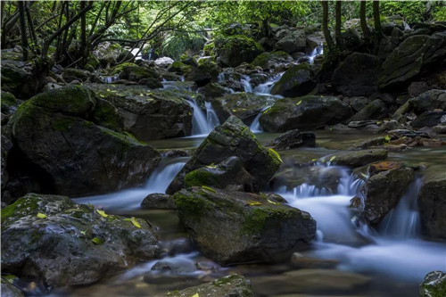 写在夏末,21℃的老君山不止是惊艳! 写在夏末,21℃的老君山不止是惊艳!