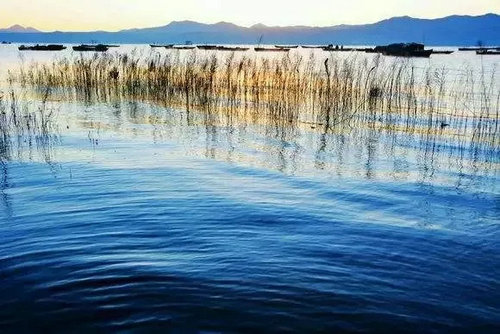 嵩县环湖马拉松火热报名中 一起感受生态陆浑、美丽嵩县的魅力