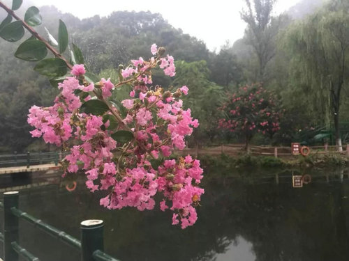 一直向往江南水乡的秀美 而重渡沟不正如江南一般？