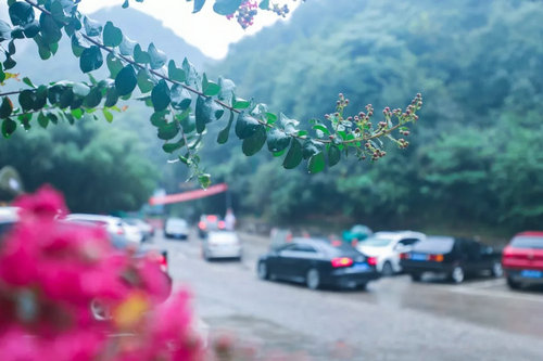 一直向往江南水乡的秀美 而重渡沟不正如江南一般？