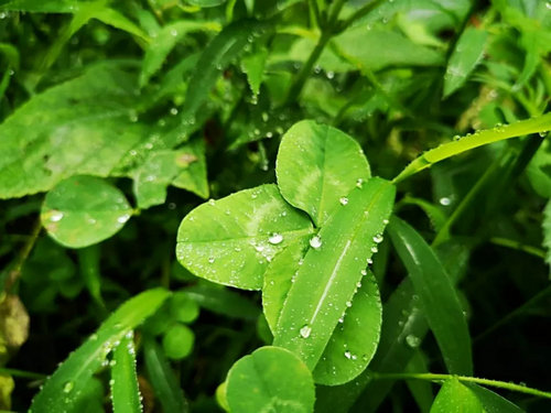 一直向往江南水乡的秀美 而重渡沟不正如江南一般？