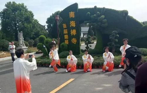 南海禅寺菊花展开幕 这样可以免费观赏