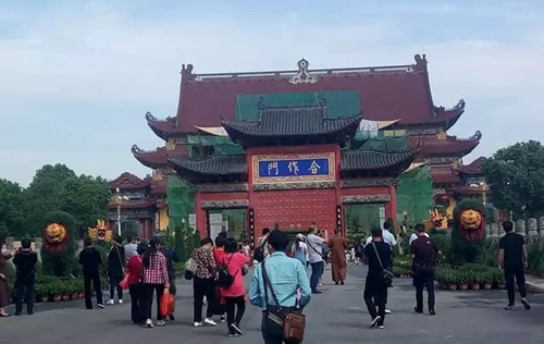 南海禅寺菊花展开幕 这样可以免费观赏