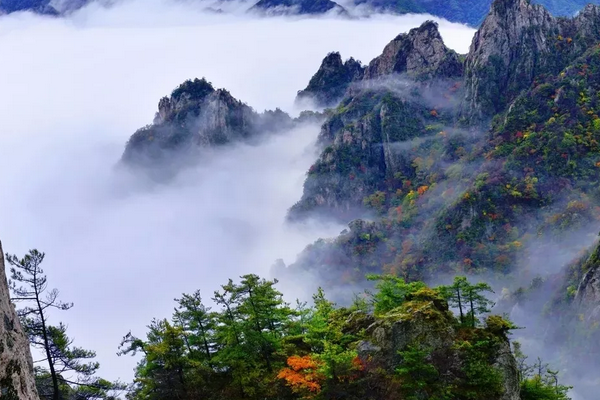 10月1日起河南老君山门票降价，快来为国庆游做准备吧！