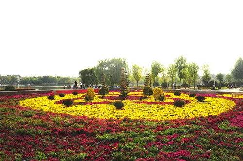 绿博园：蝴蝶兰展、菊展节后仍将继续