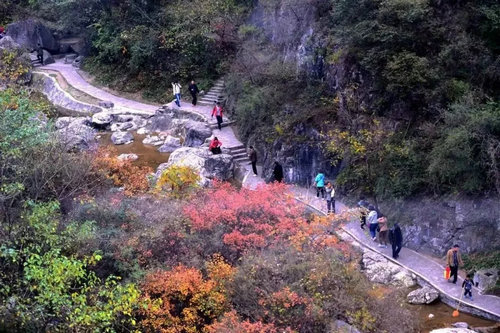 “青天河 中国红”2018焦作青天河太行红叶节将开幕 10月12日邀你免费赏红叶