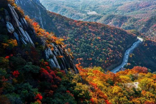 逢十月金秋，赏嵩山红叶，观音乐大典