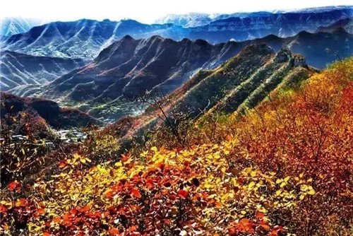 青天河知青村,带您重温激情燃烧的岁月 青天河知青村,带您重温激情燃烧的岁月