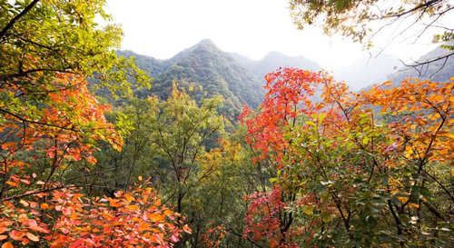 约惠金秋 住重渡沟免门票