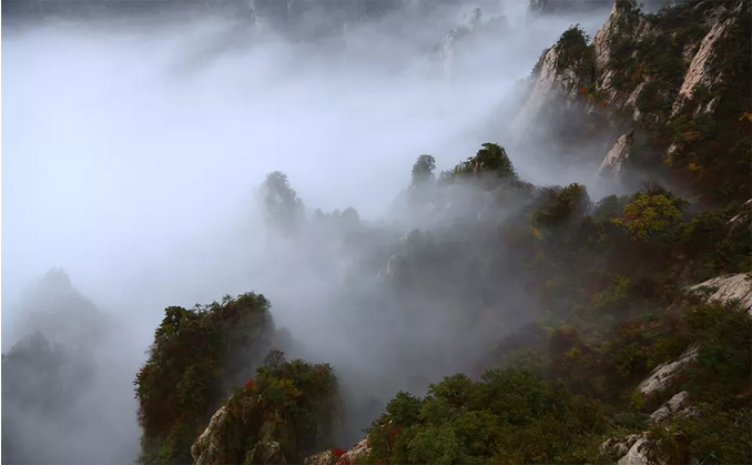 万人赏红叶，偶遇云海时——你醉了没？