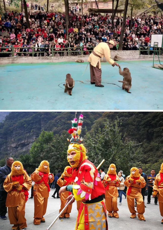 河南•关山 | 金秋盛会 火爆持续 万人登山 共享欢乐！