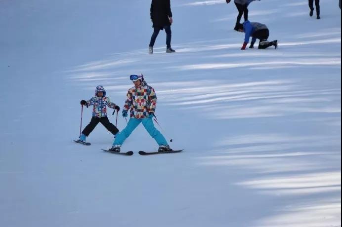 洛阳白云山旅游度假区冬季旅游研讨会在郑举行 洛阳白云山旅游度假区冬季旅游研讨会在郑举行