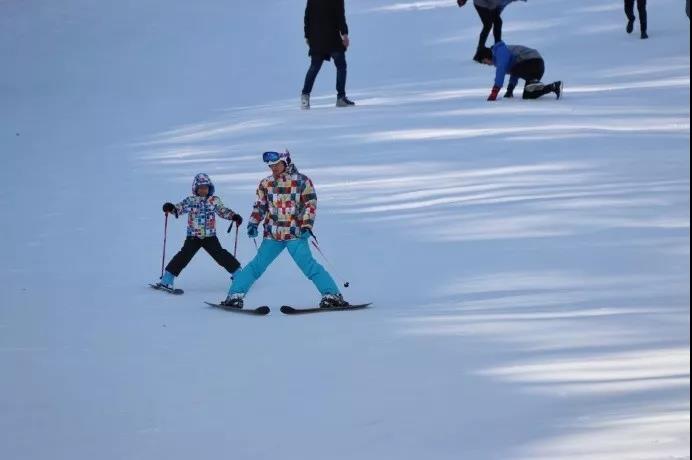 洛阳白云山旅游度假区冬季旅游研讨会在郑举行