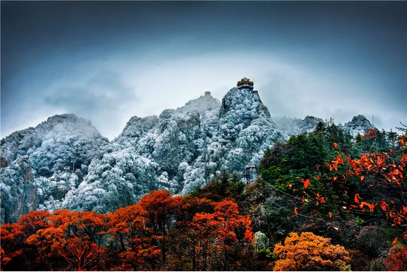 刚11月就下大雪？上哪儿去找这么任性的景区！！！