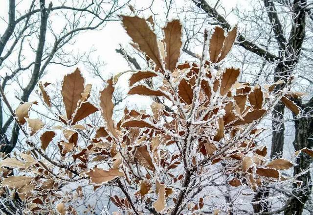 冰雪奇缘王屋山：灵动飘逸，犹如仙境！