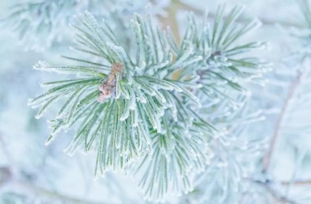 冰雪奇缘王屋山：灵动飘逸，犹如仙境！