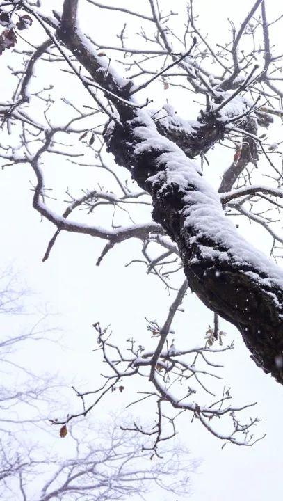 冰雪奇缘王屋山：灵动飘逸，犹如仙境！