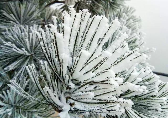 冰雪奇缘王屋山：灵动飘逸，犹如仙境！