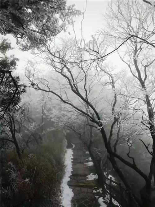  巅峰对决棋圣战 中原逐鹿白云山——第三届洛阳白云山杯中国围棋棋圣战圆满收盘