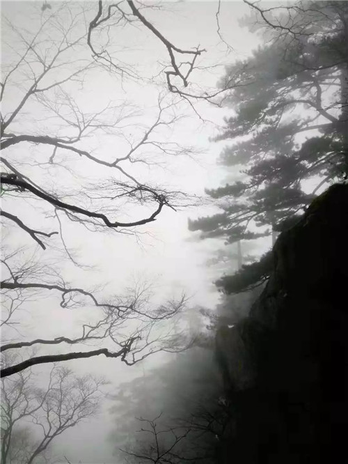  巅峰对决棋圣战 中原逐鹿白云山——第三届洛阳白云山杯中国围棋棋圣战圆满收盘