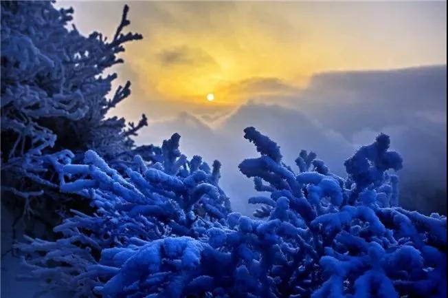 “冰封奇景 惊艳雪山”2018老君山冰雪摄影节开启！