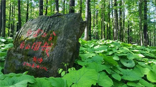 中原名山白云山:幽美,幻美,峻美,秀美 中原名山白云山:幽美,幻美,峻美,秀美