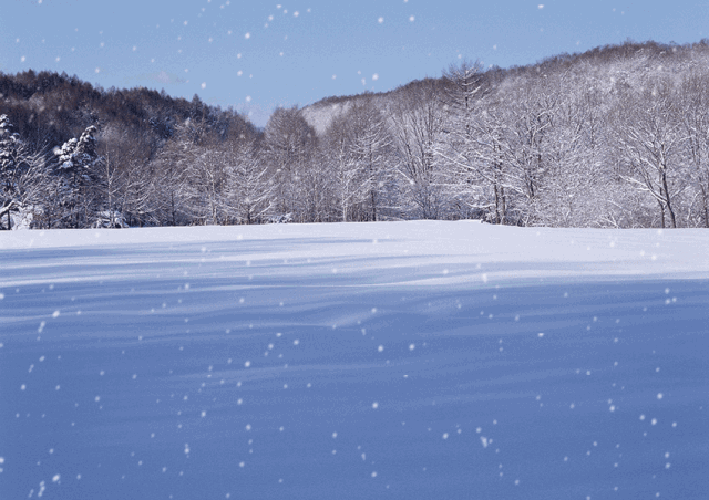 十里雪乡，百尺冰挂，关于冬天的所有美好想象都在这里！！