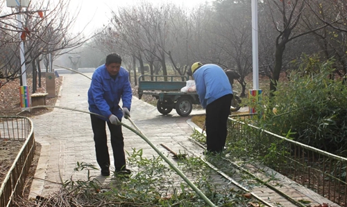 守护花海 绿博园在行动