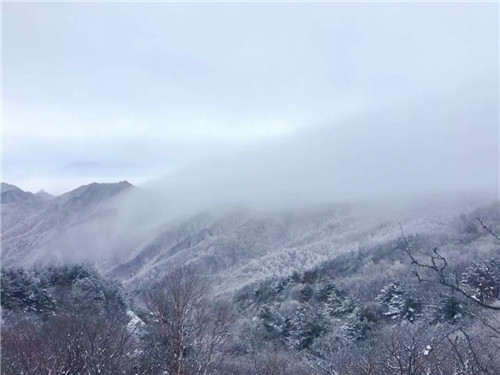 冬日龙峪湾 那些你不曾见过的美