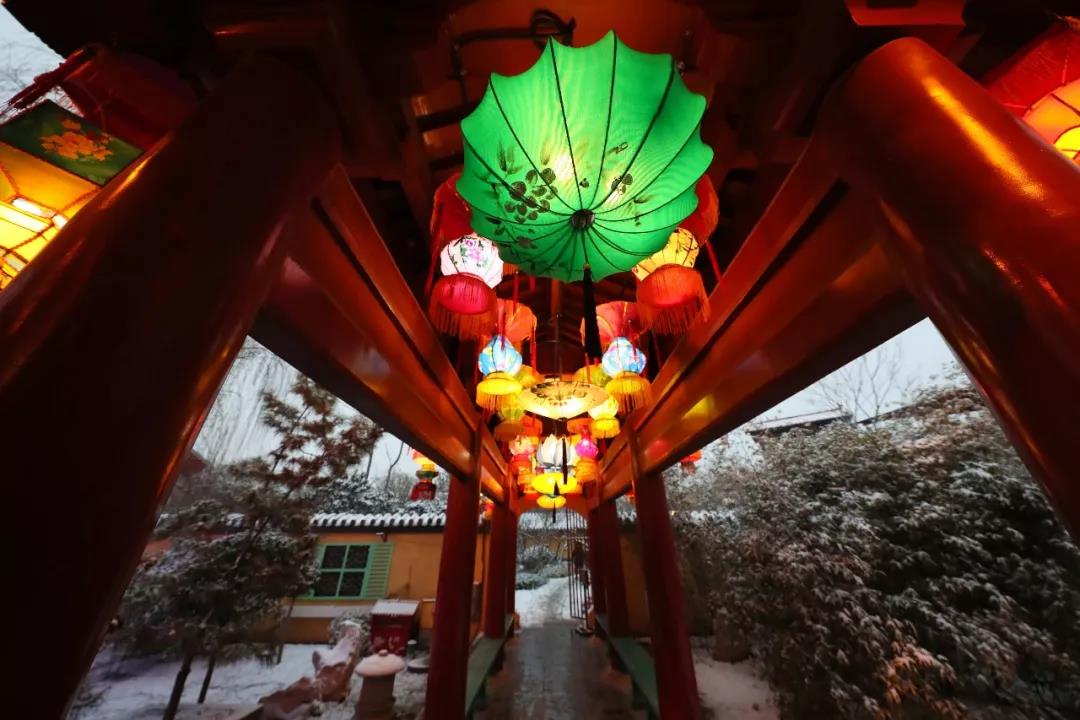 美爆！第二届国际灯笼节邀你一起过新年~