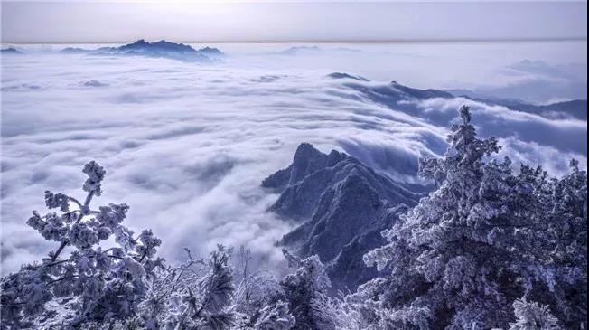 一封来自游客的感谢信：在栾川旅游过年，很暖心！