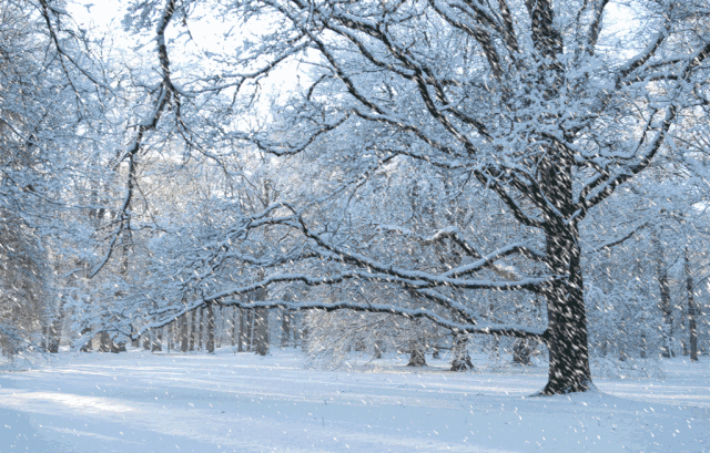 郭亮村又双叒叕下雪了,元宵节一起闹起来! 郭亮村又双叒叕下雪了,元宵节一起闹起来!