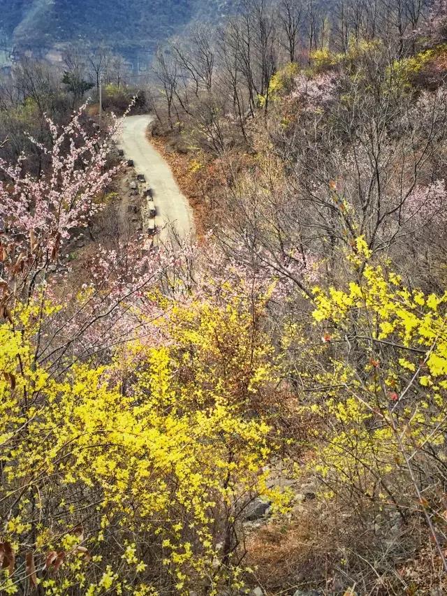 当《中国诗词大会》遇上新乡南太行春景......